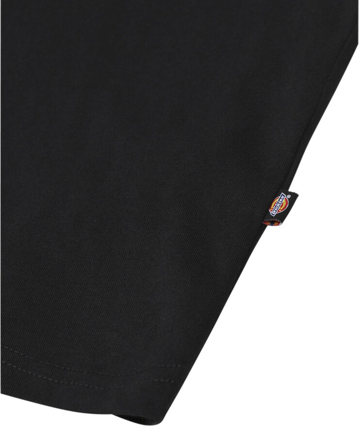 Dickies SS MAPLETON T-SHIRT BLACK Black