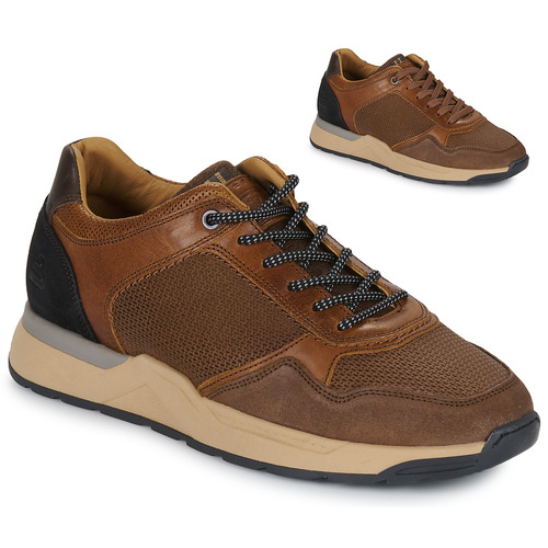 Bullboxer -  - Marron