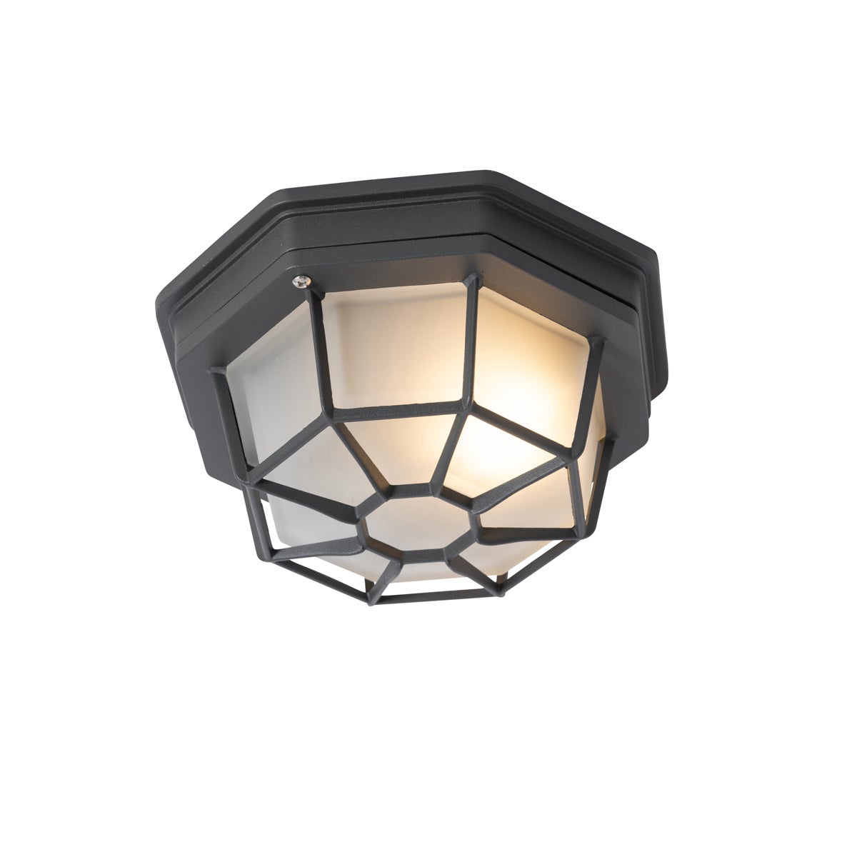 Landelijke plafondlamp, donkergrijs, IP44 - Bri S