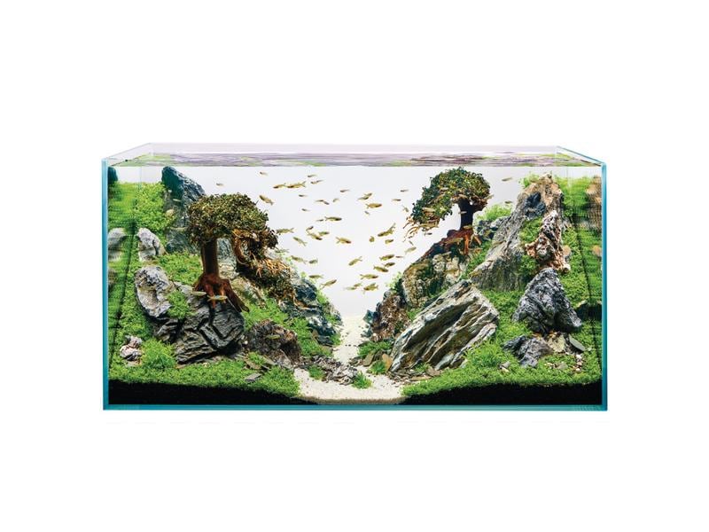 OASE Aquarium ScaperLine 100, 250 l ScaperLine Aquarien aus Optiwhite-Glas