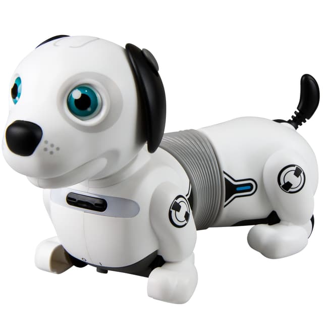 Junior Robo Dackel