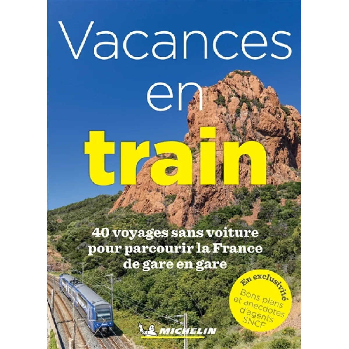 Vacances en train : 40 voyages sans voiture pour parcourir la France de gare en gare · Occasion