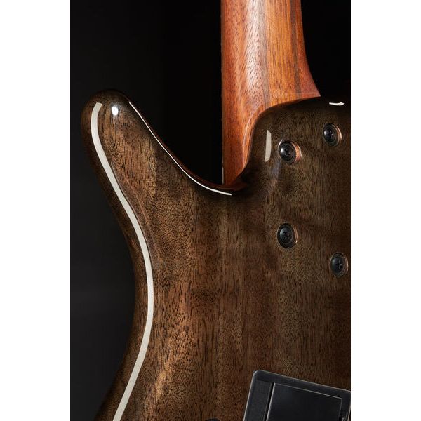 Ibanez SRMS805-DTW Workshop