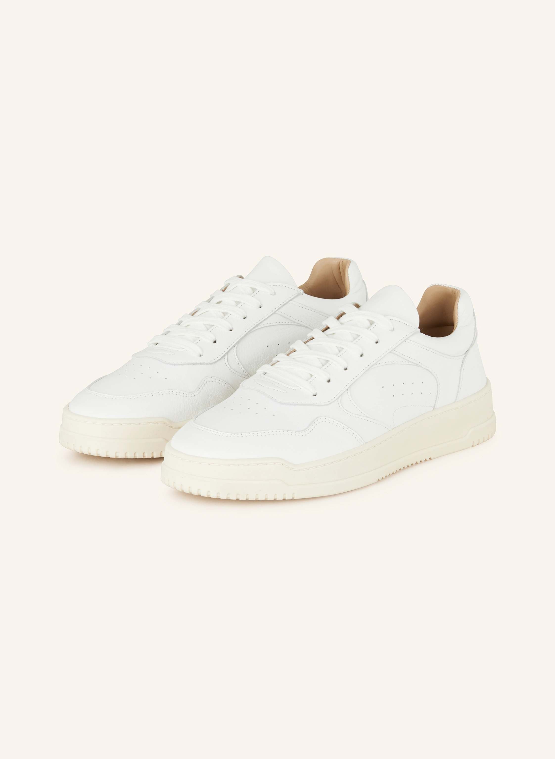 PAUL Sneaker