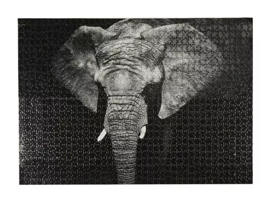 Puzzle 1000 pièces Eléphant