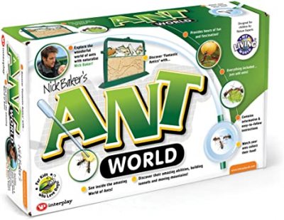 Ant Farm