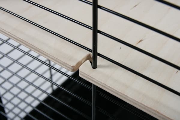 Zolux Cage svart Neo Muki store gnagere H58