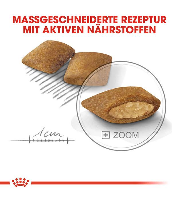 ROYAL CANIN® Trockenfutter für Hunde Exigent