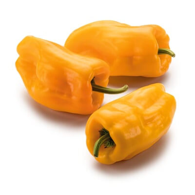 Gemüsesamen Besondere Chilis und Paprika