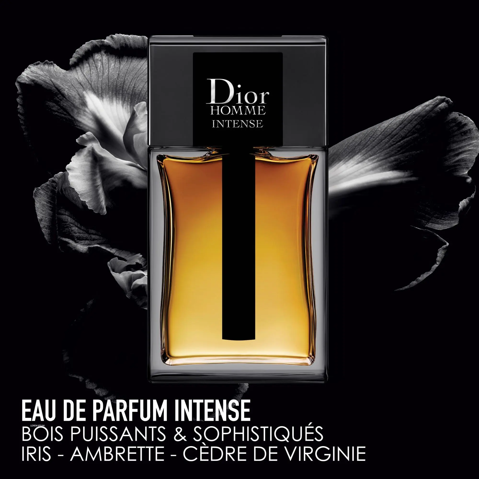 Dior - Dior Homme Intense Eau de Parfum Intense- Eau de parfum