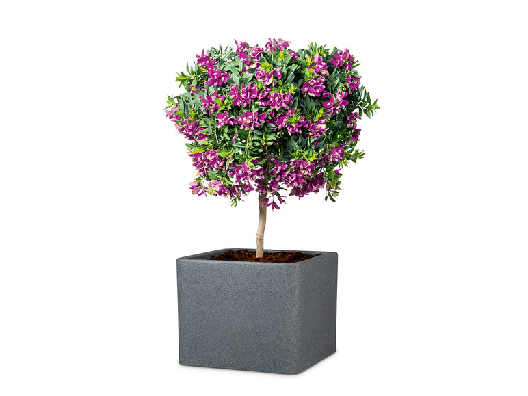 Plantenbak