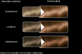 Syoss Color Salonplex 5-8 Hazelnootbruin 1ST
