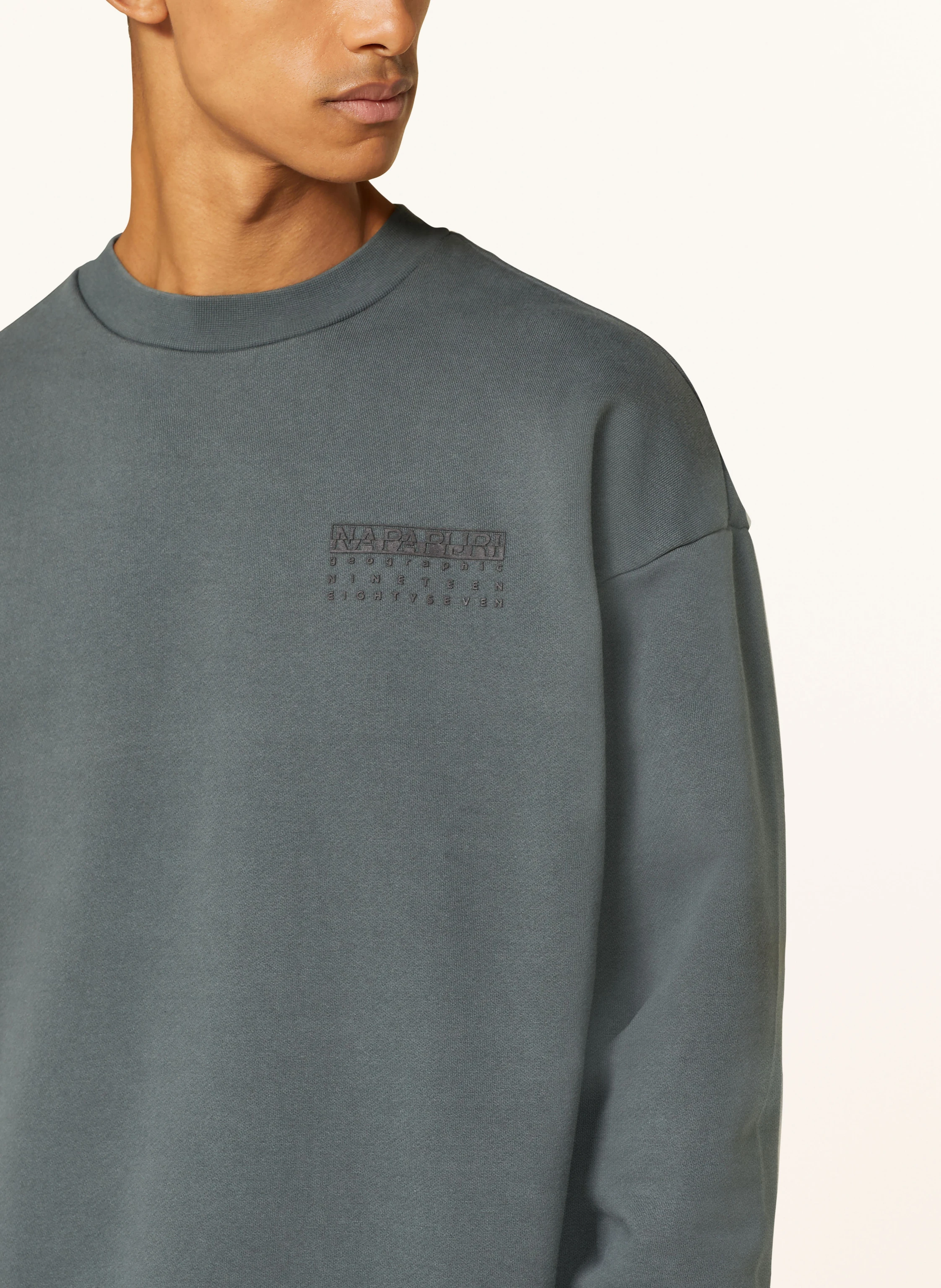 NAPAPIJRI Sweatshirt B-PREMIUM C