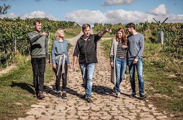 Weinbergwanderung in Schriesheim als Geschenk