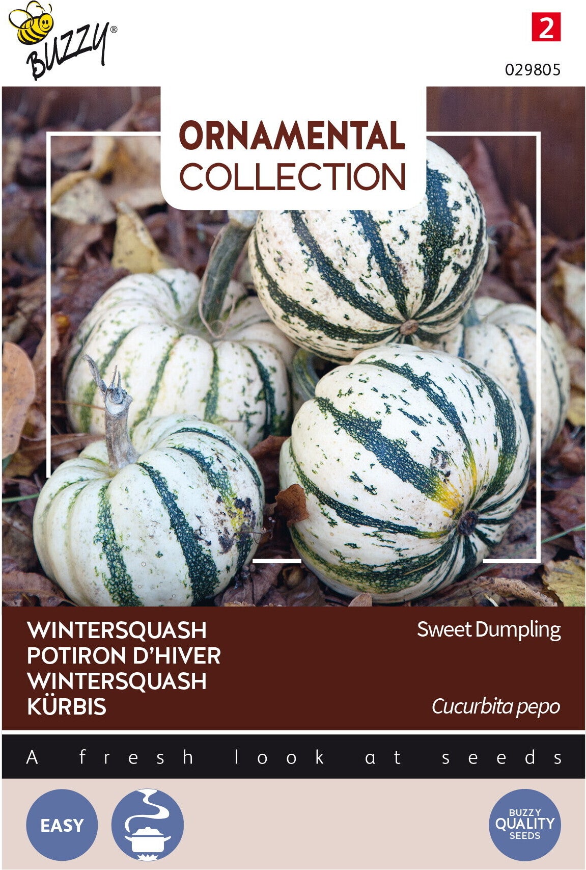 Buzzy® Ornamental groentezaad Wintersquash (Cucurbita 'Sweet Dumpling')