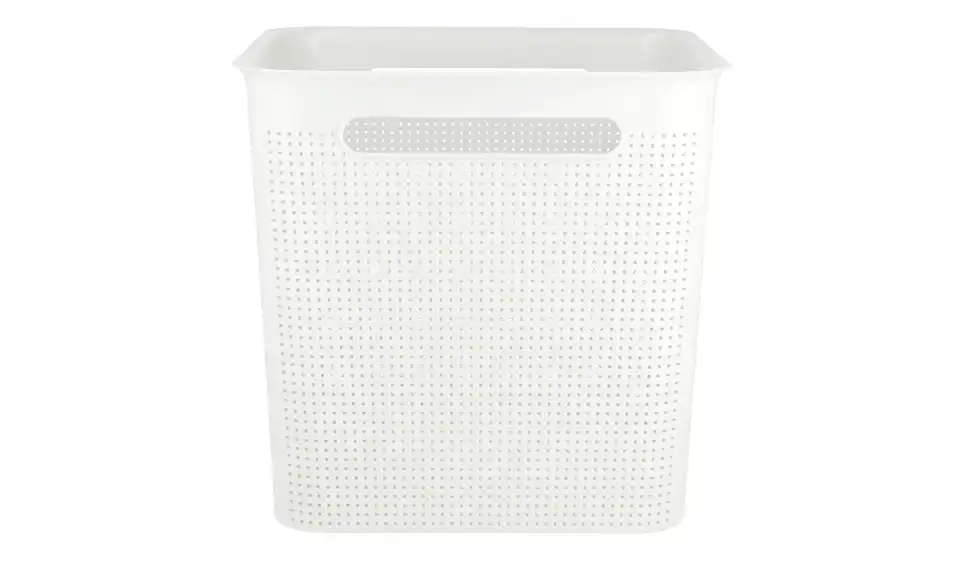 Rotho Aufbewahrungsbox 29 cm