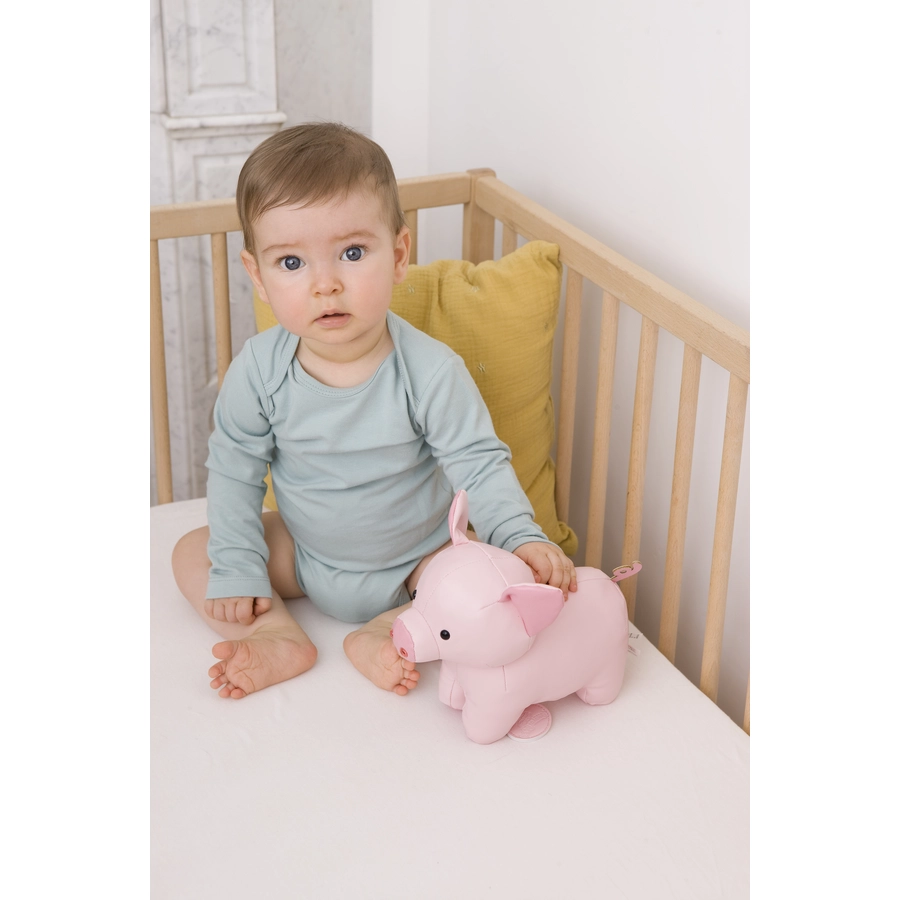 Little Big Friends Die Musiktiere - Leon das Schwein