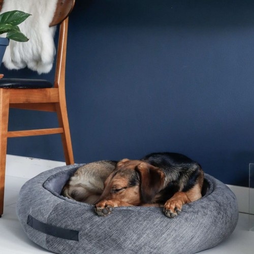 Cama redonda Halo para animais de estimação, cinza