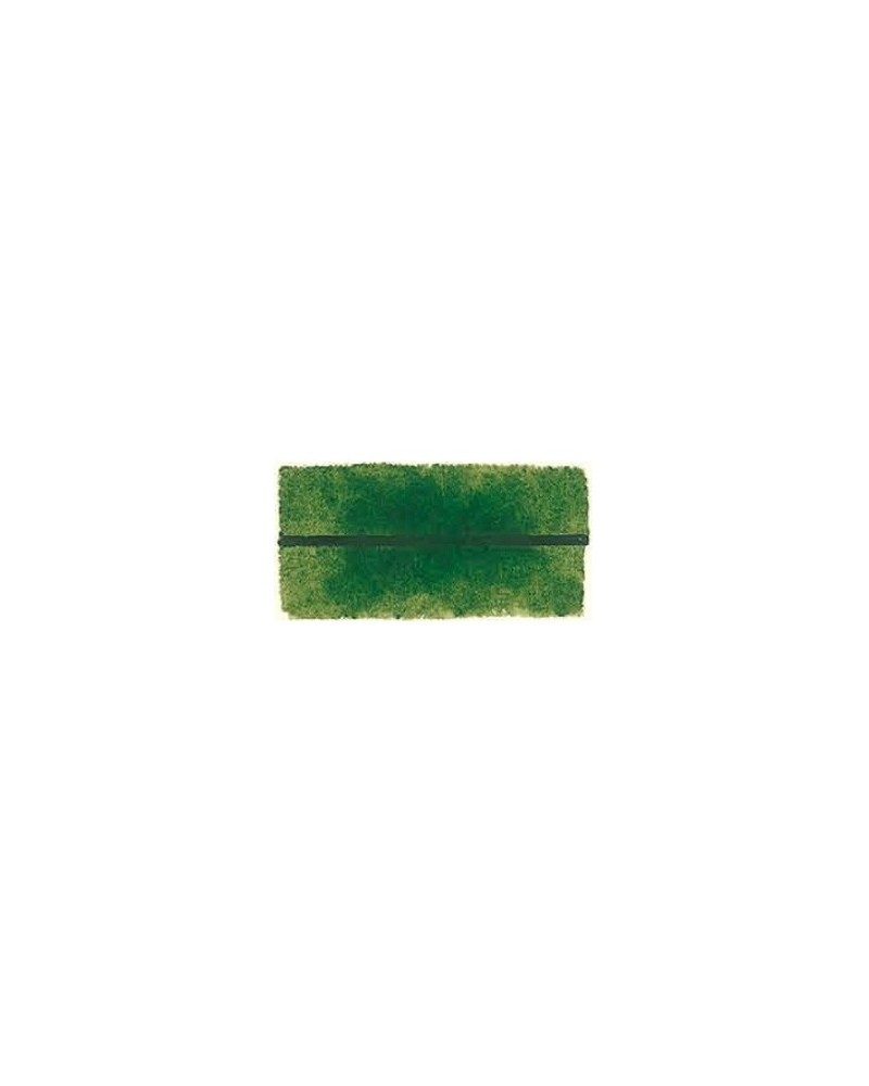 Vert de Hooker - 164