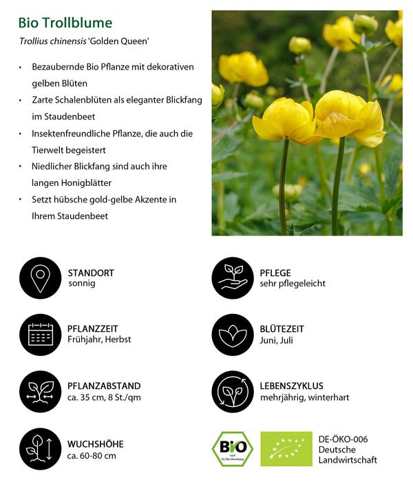 Bio Stauden-Set Einsteiger-Blütenmix,