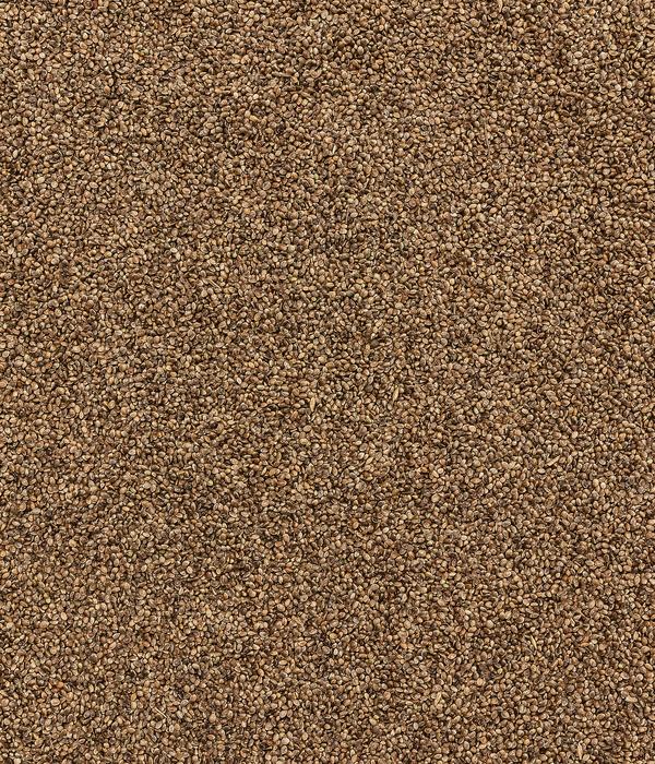 Dehner Natura Premium Wildvogelfutter Hanfsaat