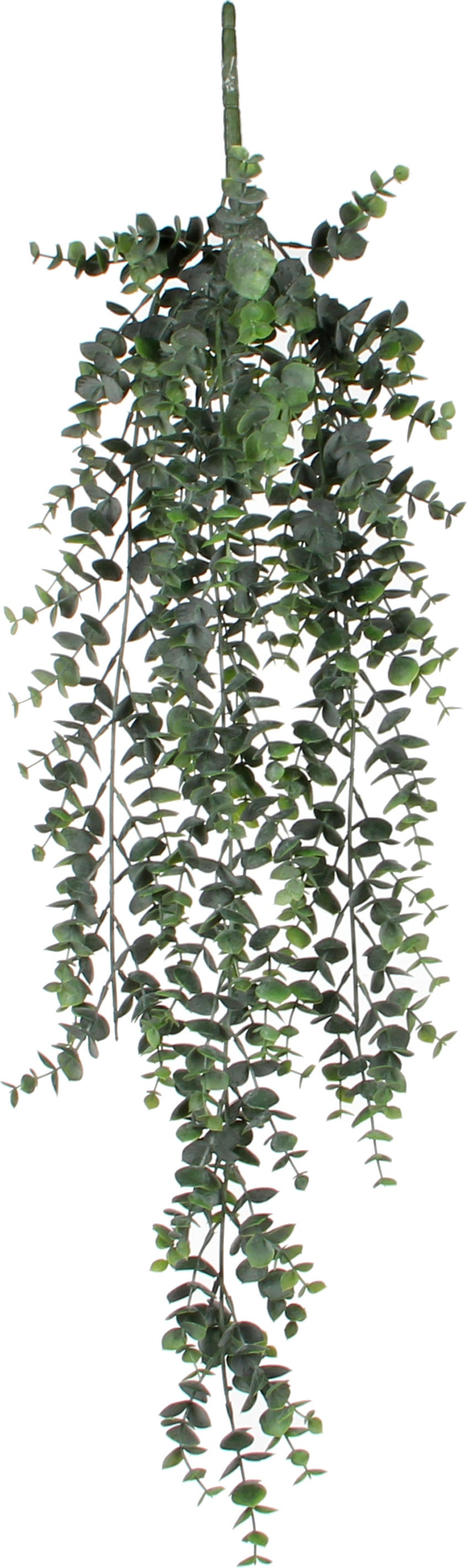 Mica Decorations kunsthangplant Eucalyptus 78 cm