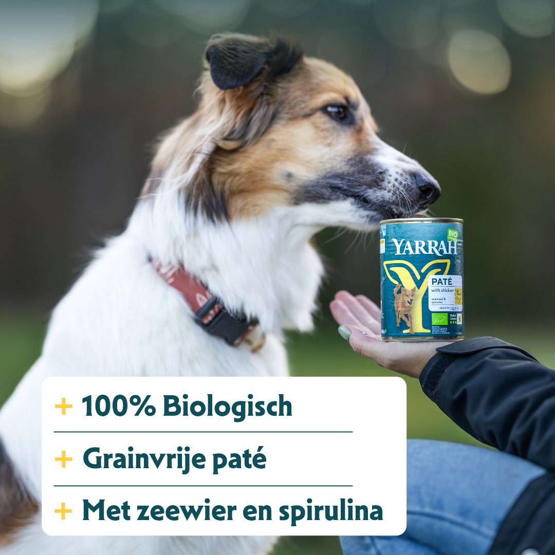 Yarrah - Natvoer Hond Blik Paté met Kip Bio