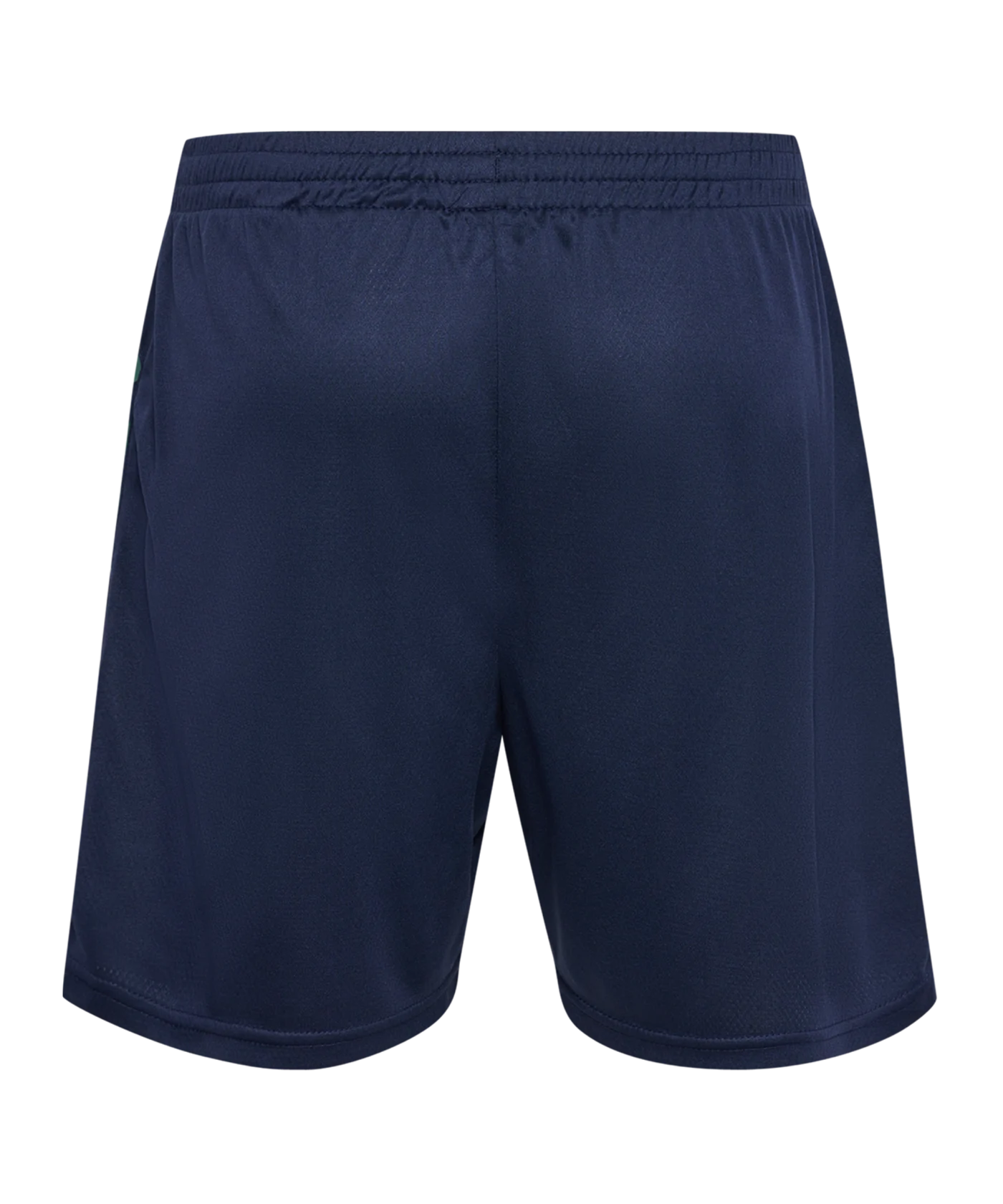 Hummel hmlSTALTIC Poly Short Blau F7209