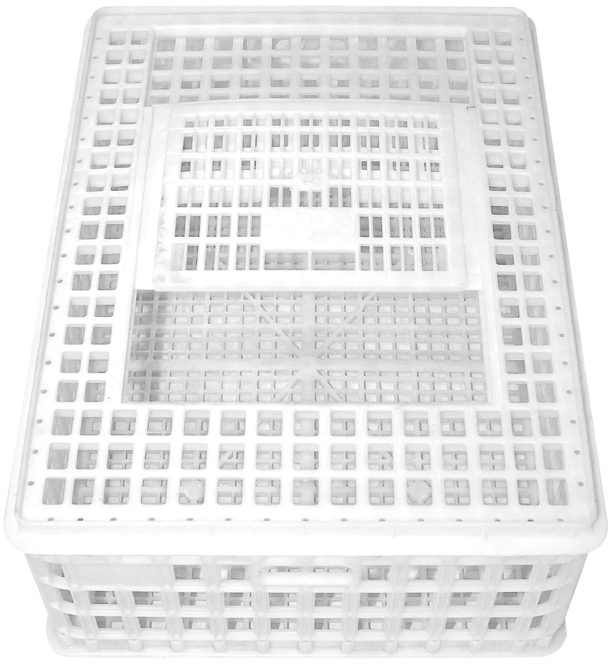 CAL Sanketeine 75x55x26cm Plast
