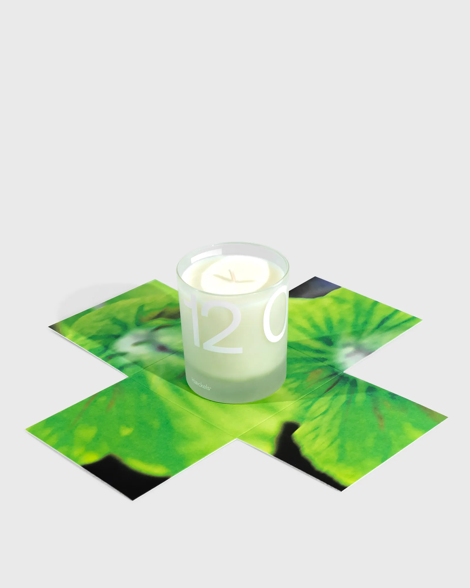 Haeckels Reculver Candle - 240 ml