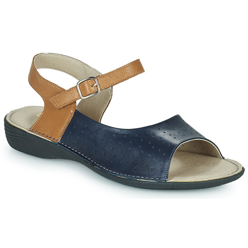 Dorking - ODA - Bleu / Marron