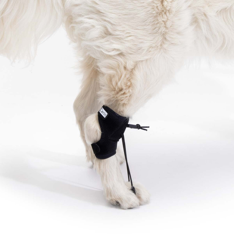 Corretor proprioceptivo