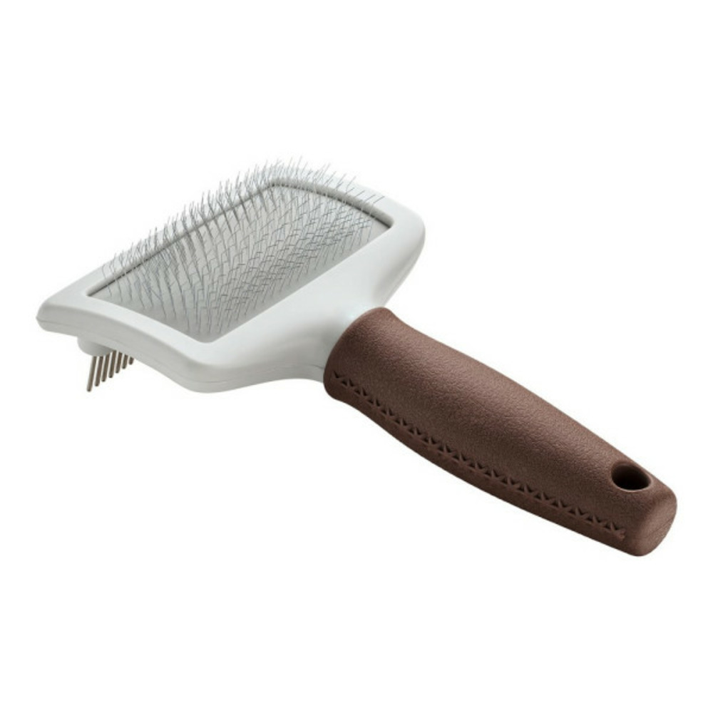 Brosse à détartrer 2 en 1
