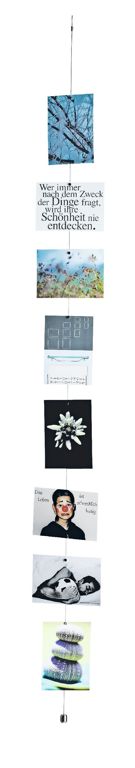 VISION Fotoleine - Silber / B: 150.0 cm