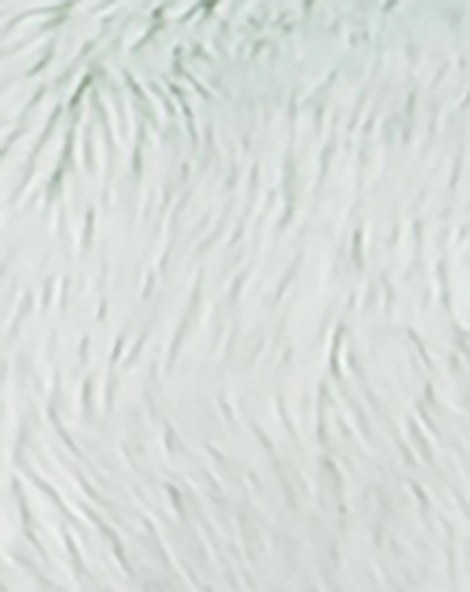 Greifling TO GO - LALEE (⌀8,5x24cm) in blau