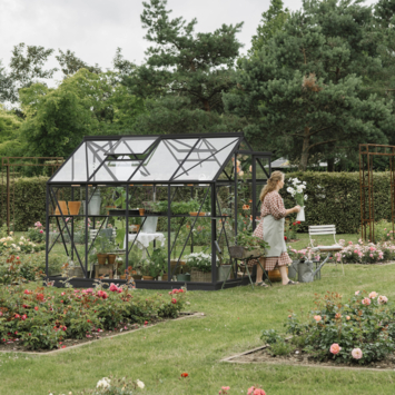 Royal Well Mary II kweekkas full option aluminium zwart 6,0 m²