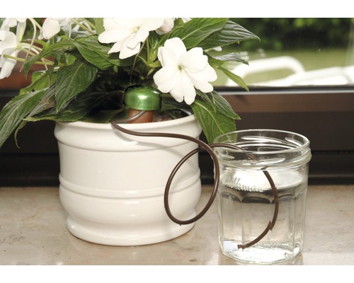 Blumat Comfort kleikegel plantenbewateringssysteem