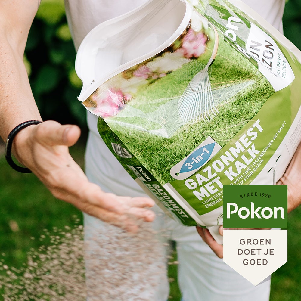 Pokon biologische gazonmest3-in-1 250 m² 16,8 kg