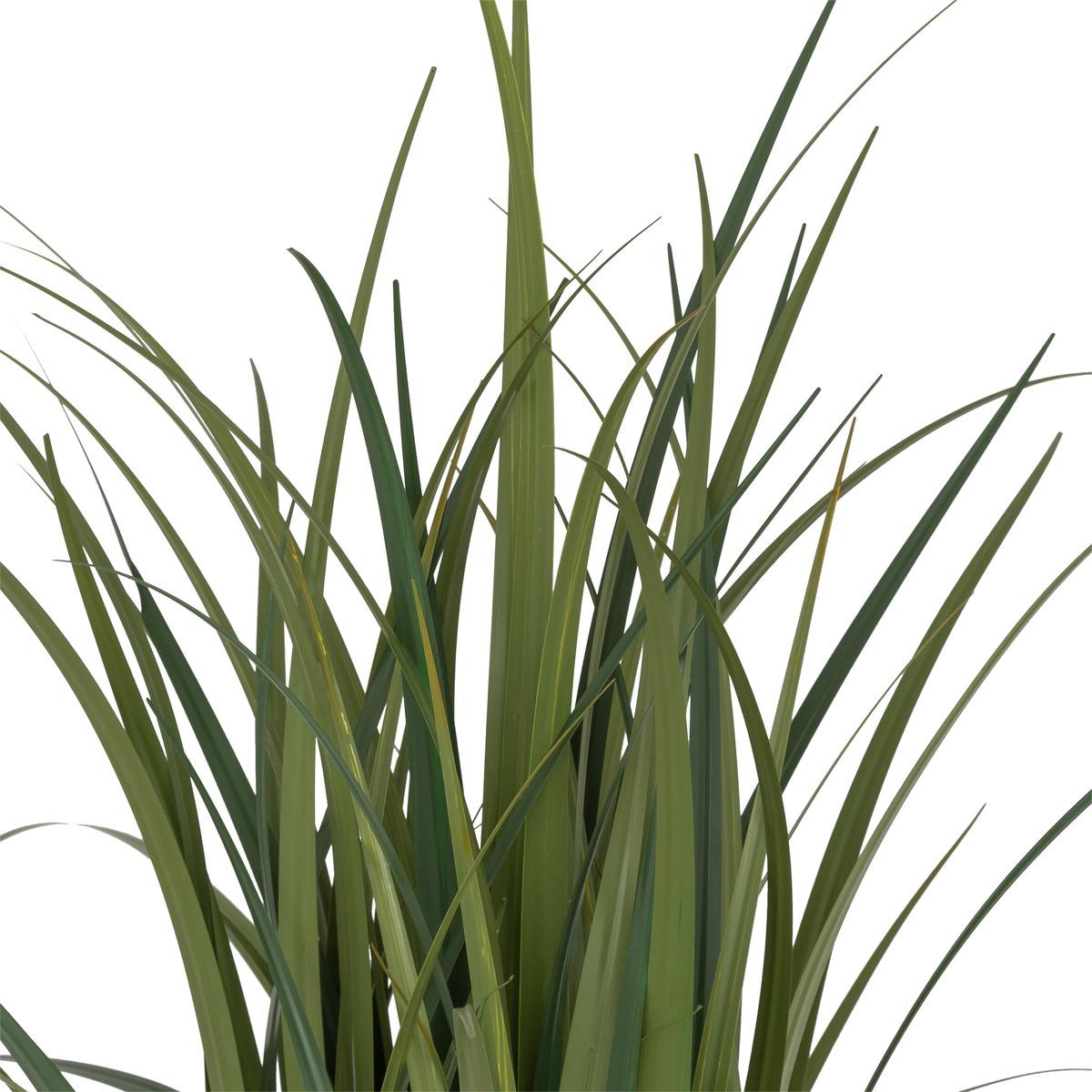 BUNCH LIN POT NATUREL ZYA H.122CM