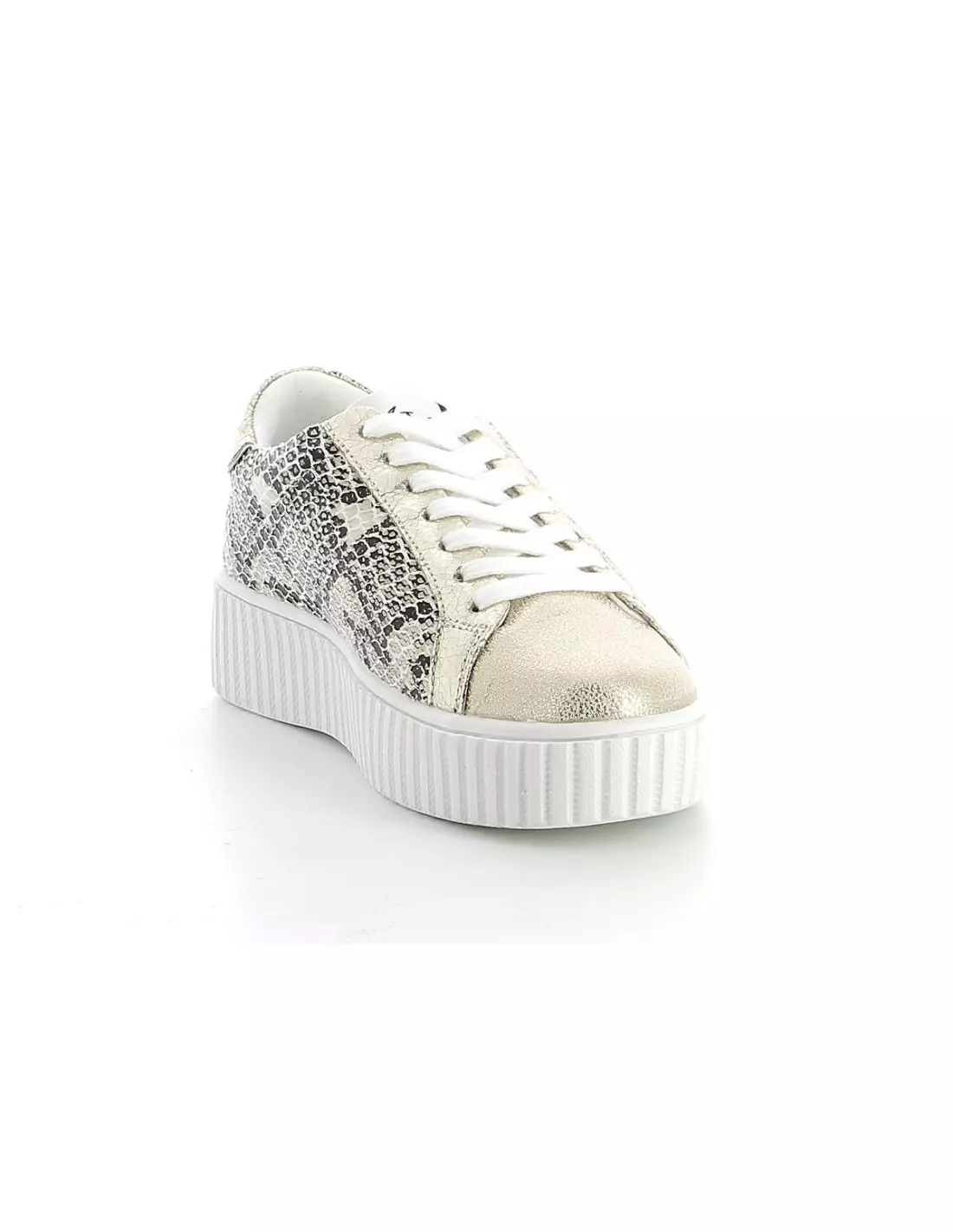CL11 CL31 SNAKE - Baskets Snake