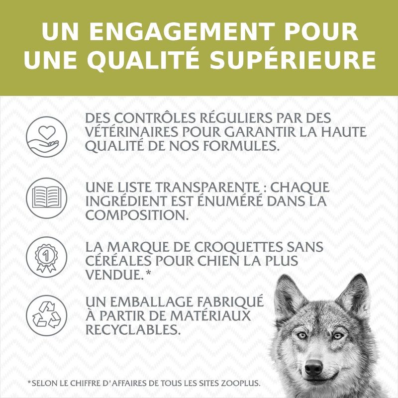 Wolf of Wilderness Adulte Green Fields, agneau