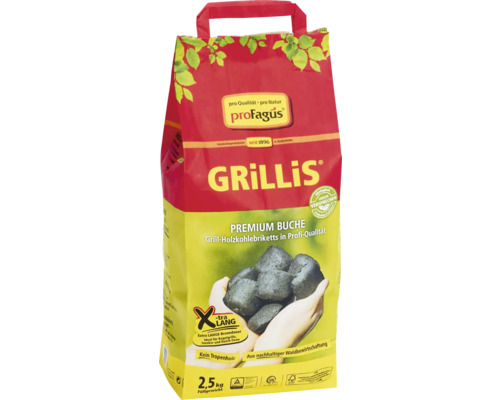 ProFagus Grillis Premium Beuken Grillbriketten 2,5 kg