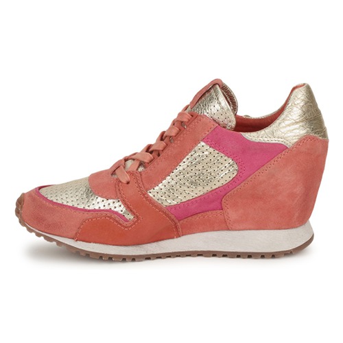 Ash - DEAN BIS - Or /  Corail /  Rose