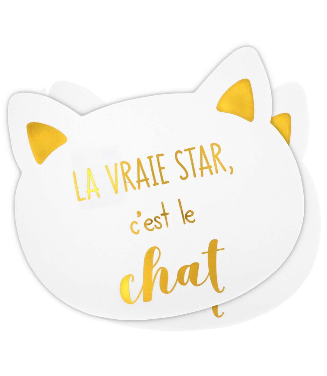 Lot de 2 sets de table enfant CHAT Rose