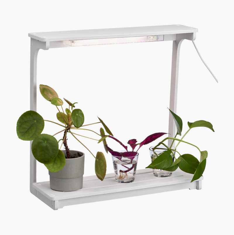 Plantebelysning