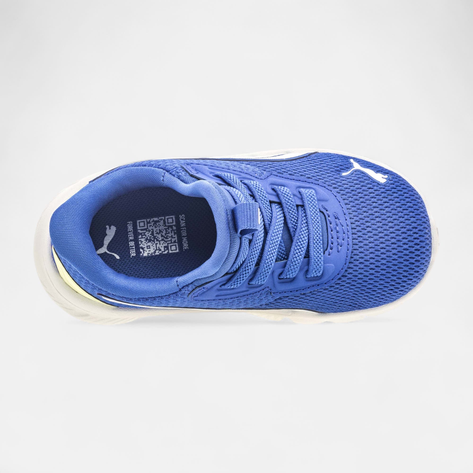 Sneakers Garçon bleu