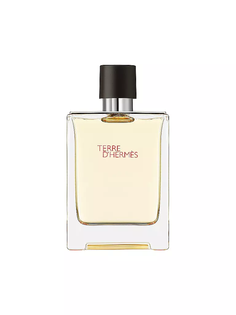 HERMÈS Terre d'Hermès Eau de Toilette 100ml keine Farbe