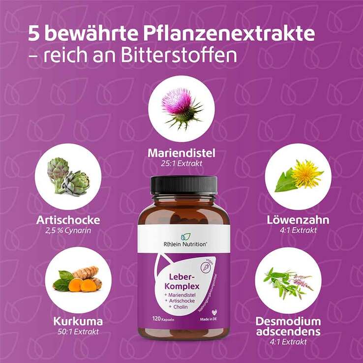 Leber-Komplex Mariendistel + Artischocke + Cholin Kapseln , 120 St