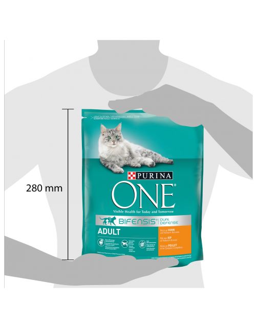 Purina One Adult Kip&Granen - Kattenvoer