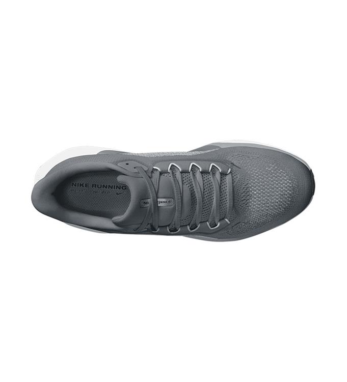 Nike AIR ZOOM PEGASUS 41 FD2722-009 COOL-GREY-WHITE-WOLF-GREY-PURE